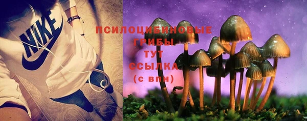 мескалин Верхний Тагил
