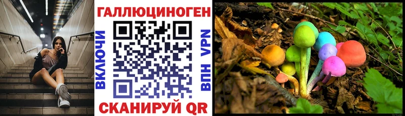 дарнет шоп  Ивдель  Псилоцибиновые грибы GOLDEN TEACHER 